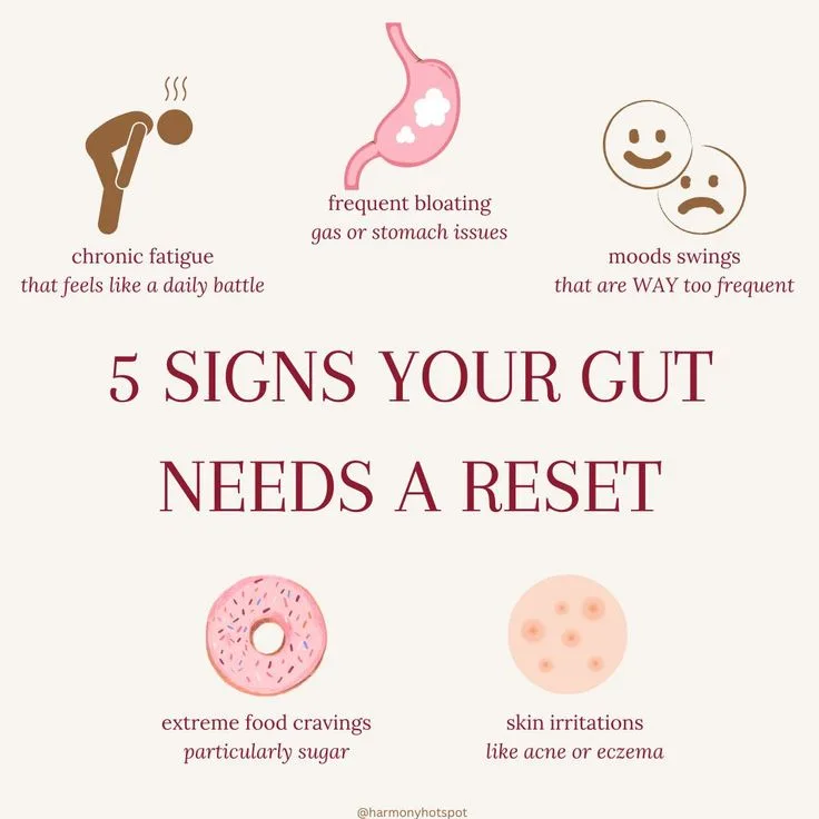 When Your Gut Is Right (and When It Will Wreck You)
