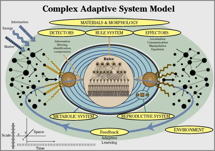 Ethics in Complex Systems Explained