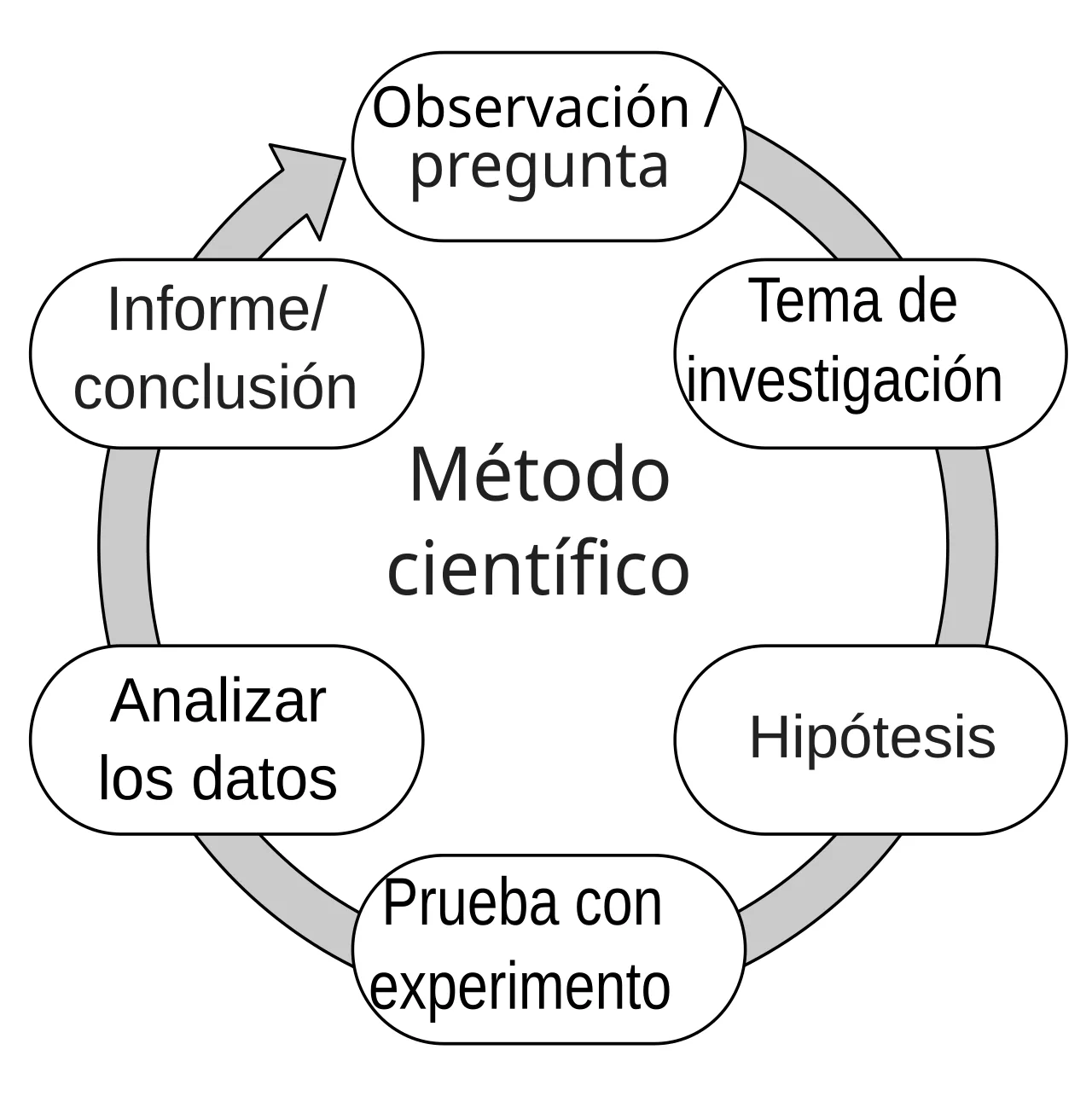 The Scientific Method: Process and Practical Applications