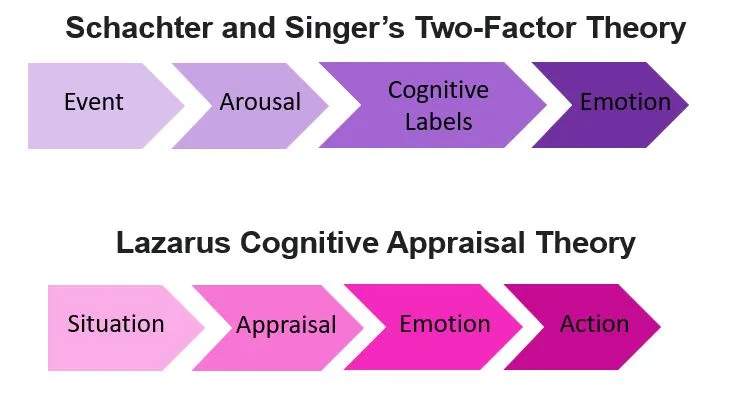 Cognitive Appraisal Theory: Emotions Decoded
