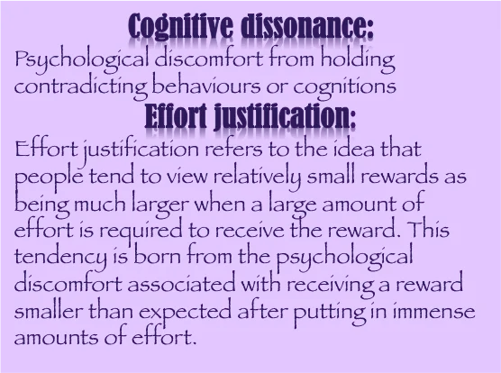 Cognitive Dissonance: When Beliefs Clash