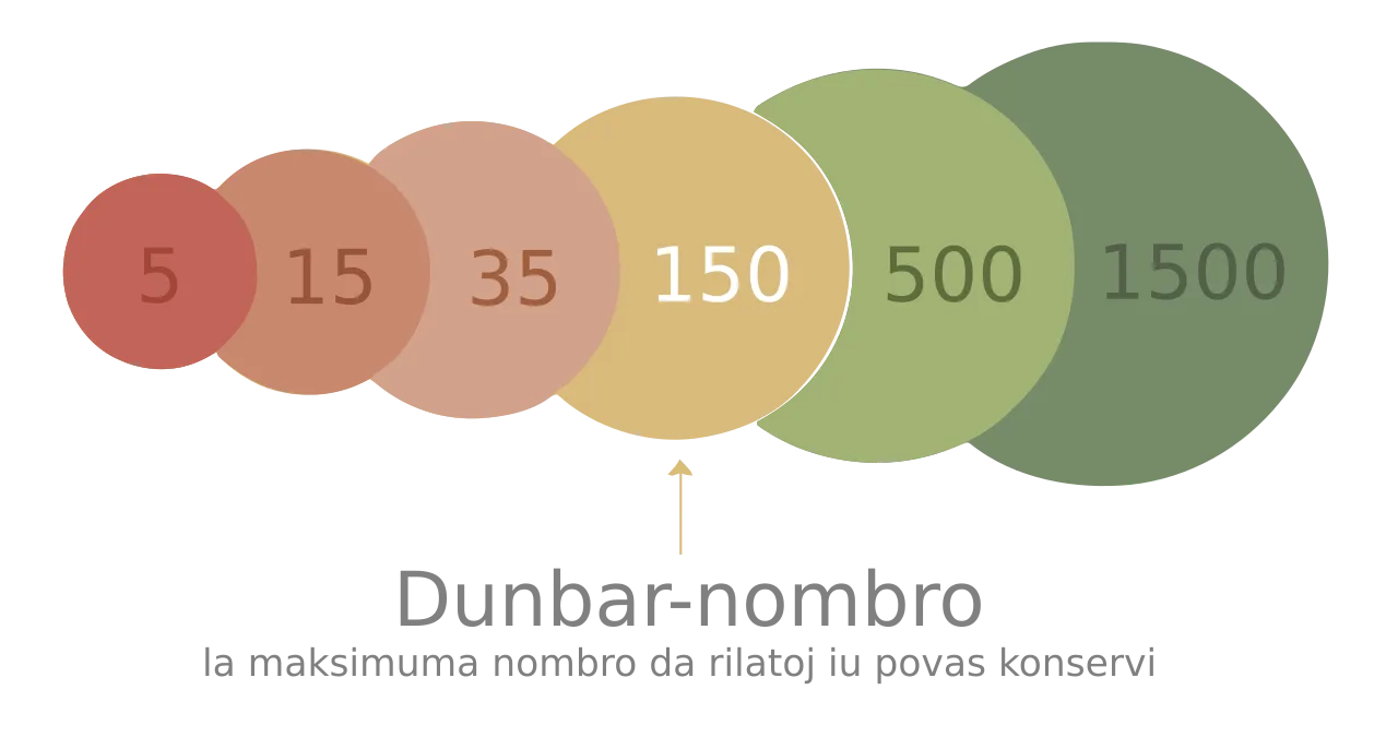 The Dunbar Number: Understanding Social Circle Limits