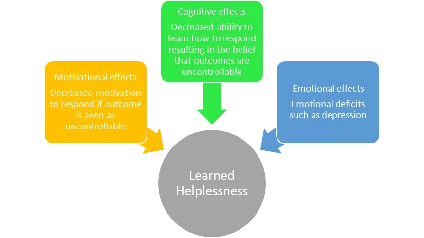 Learned Helplessness: Why People Stop Trying to Escape