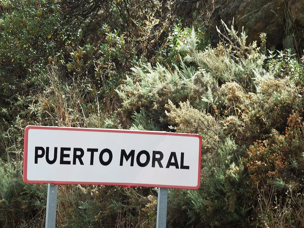 Moral Licensing: How Good Deeds Allow Bad Behavior