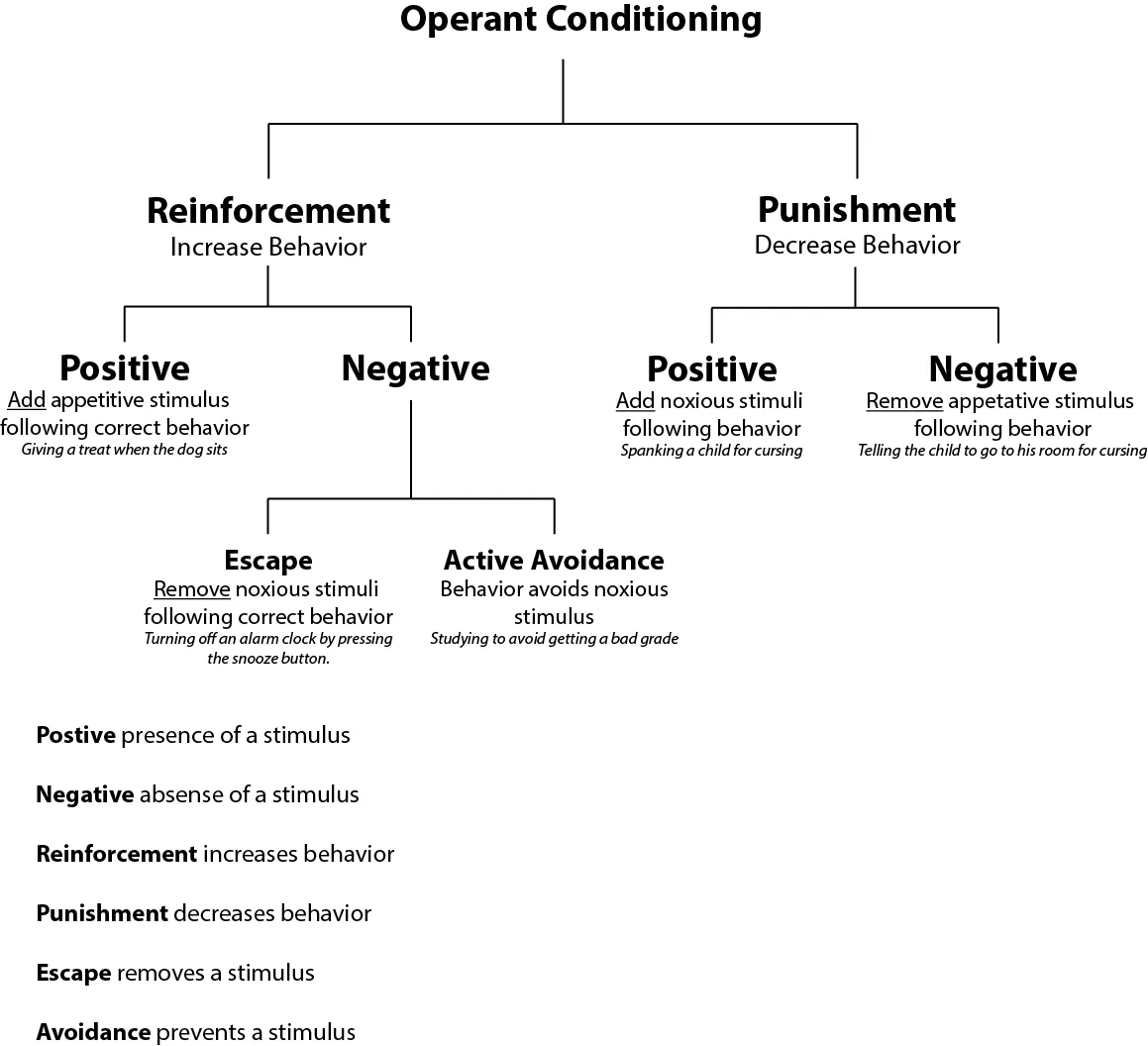 Operant Conditioning: Consequences and Their Limits