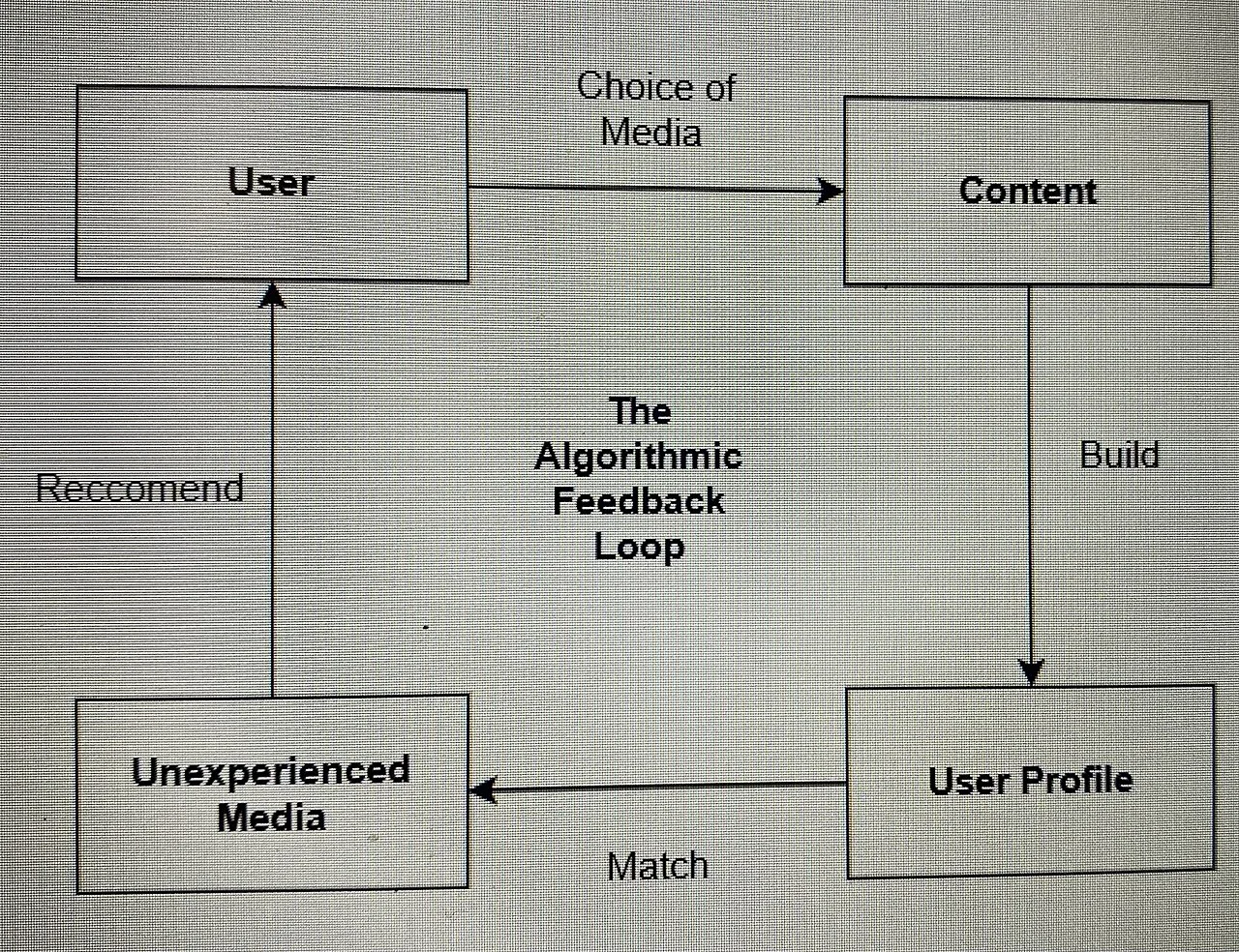 Feedback Loops: How Systems Talk to Themselves