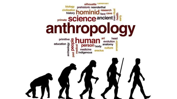 Overview of Anthropology's Scope
