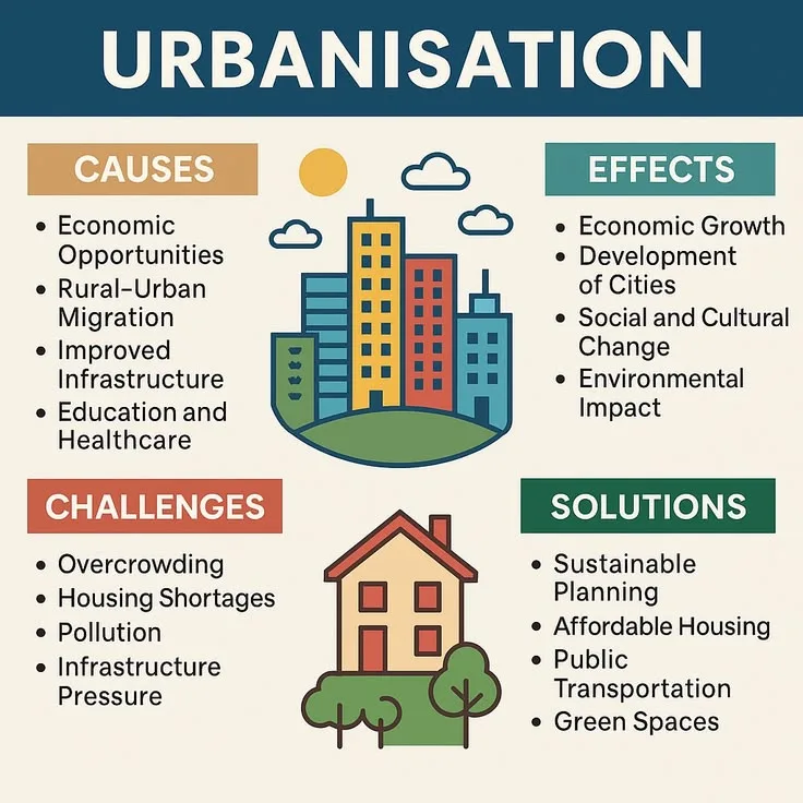 Urbanization and Its Economic Implications for Cities