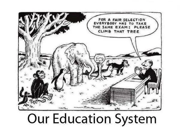 What Is Wrong With Education? Analyzing Systemic Failures