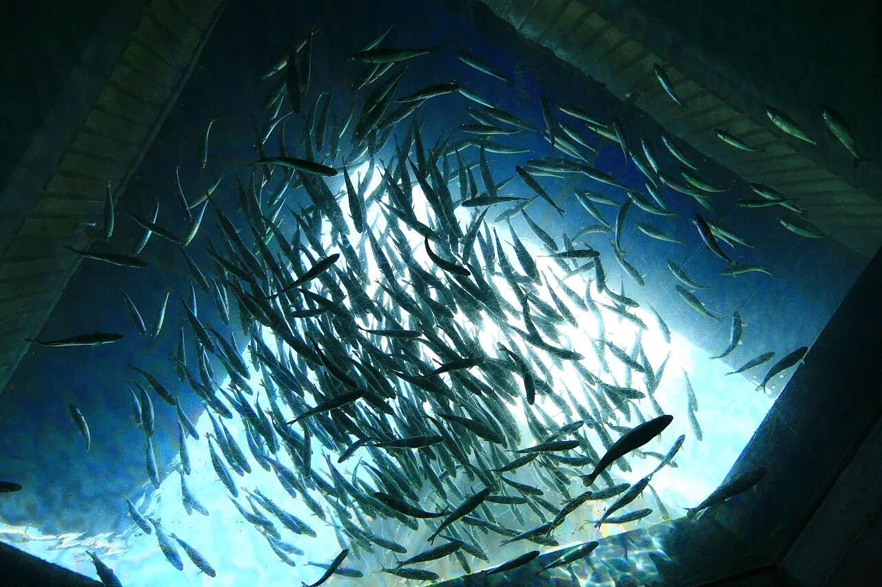 What Is the Glass Ceiling: Data, Causes, and Progress