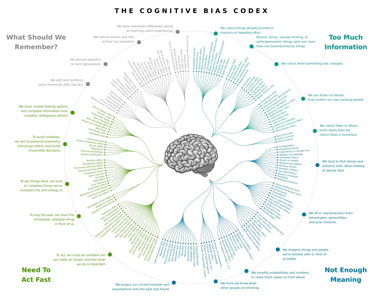 Cognitive Bias: Real-World Implications Analyzed