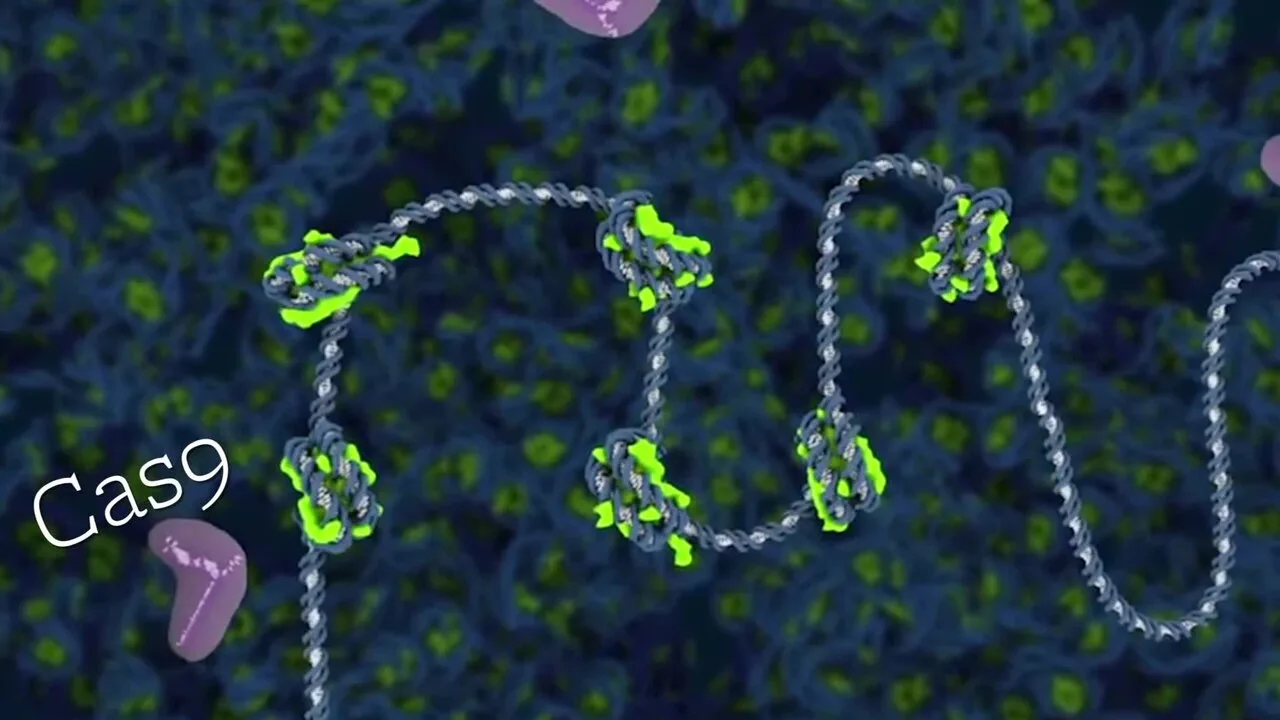 How CRISPR Gene Editing Works: Revolutionizing Biology