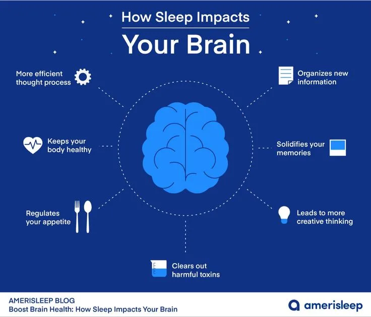 How Sleep Functions: Stages, Cycles, and Disruptions