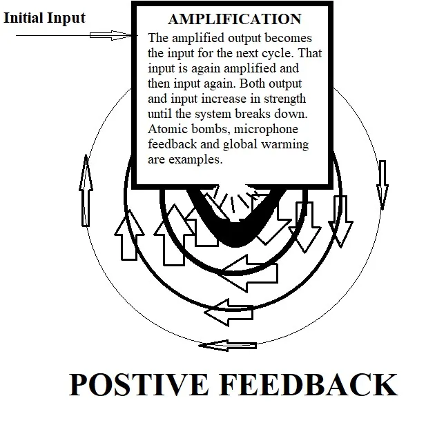 How Feedback Loops Work