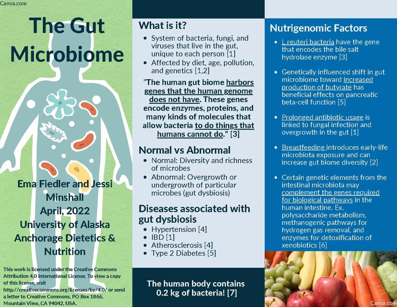 Gut Microbiome Functions: Health and Digestion