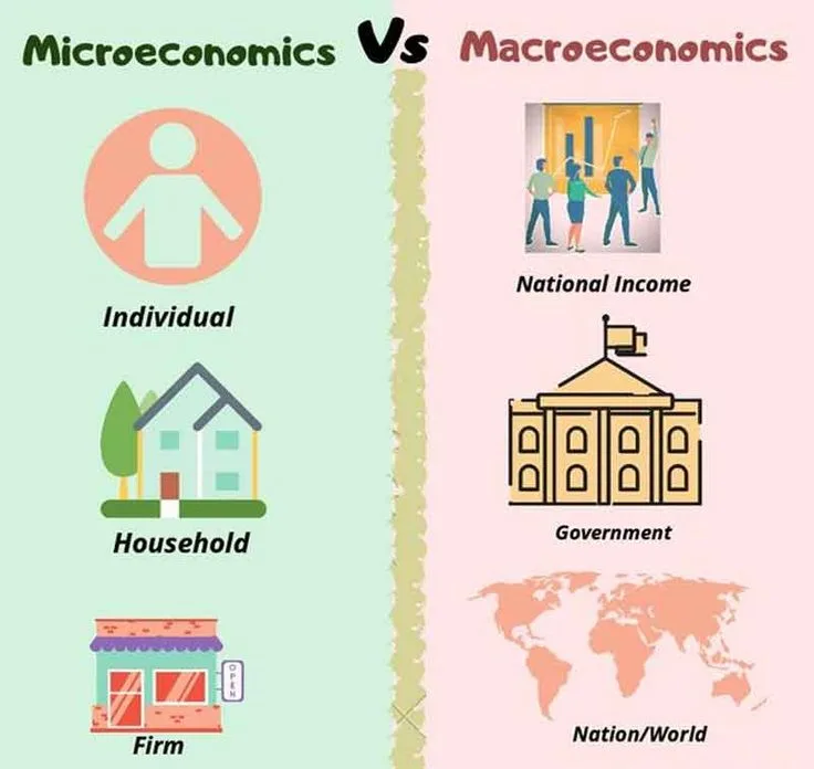 What Is Microeconomics vs Macroeconomics