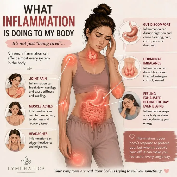What Causes Chronic Inflammation: The Root of Modern Disease