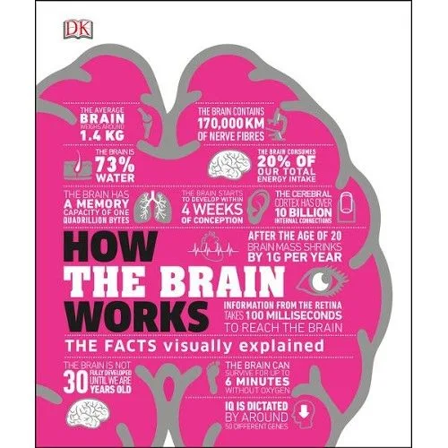 The Scientific Impact of Exercise on Body and Brain