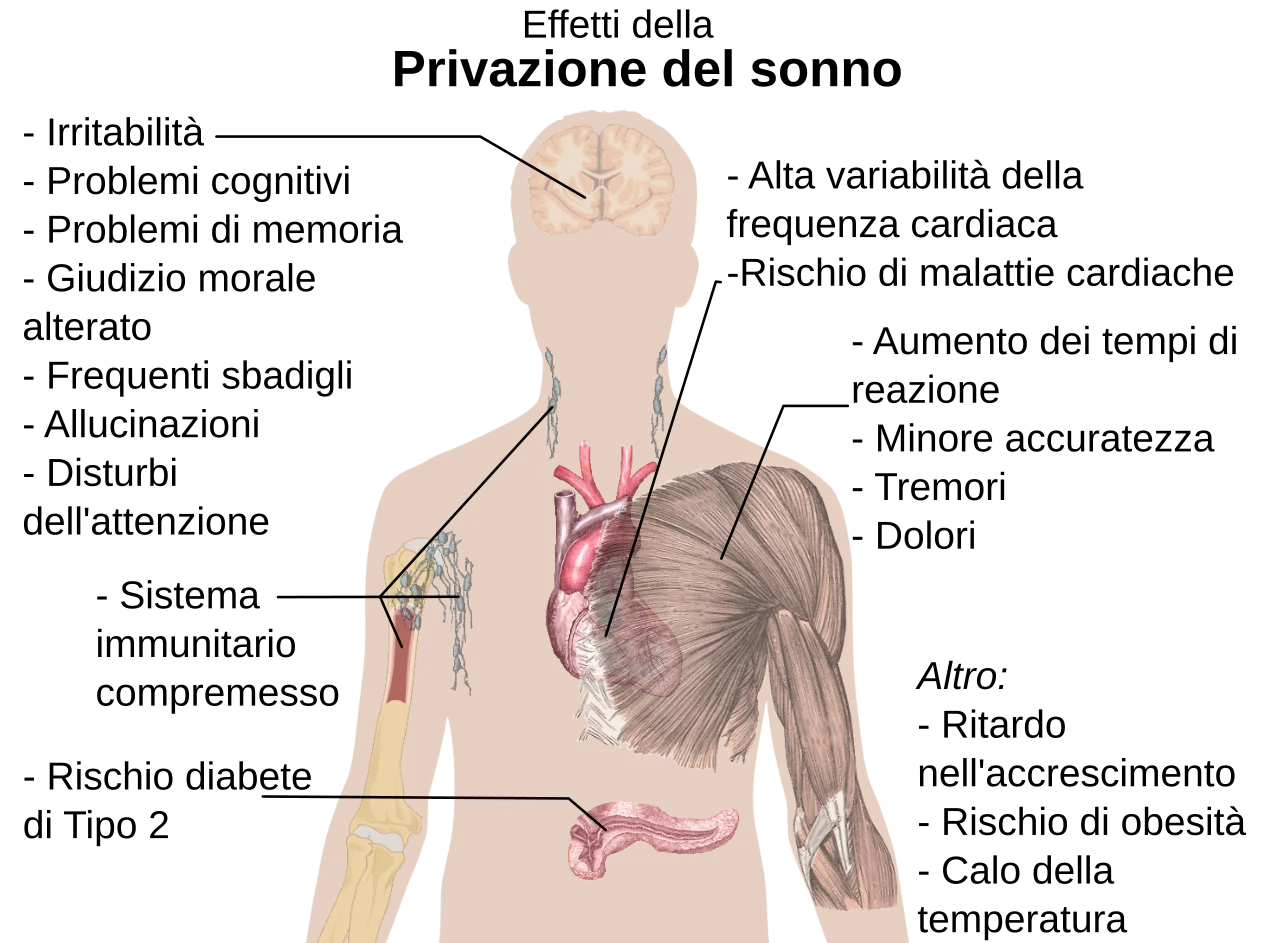 Effects of Sleep Deprivation: What Happens Without Sleep