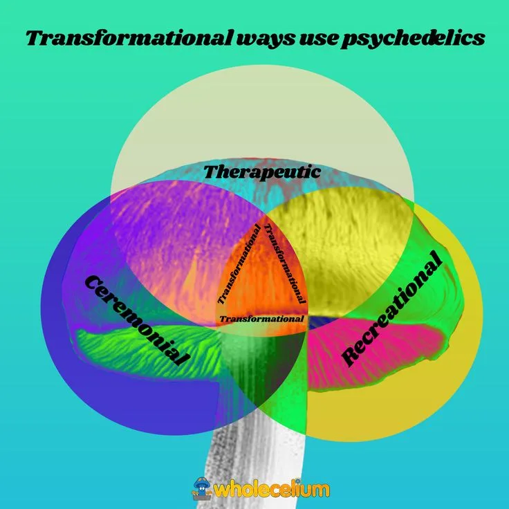 What Happens When You Take Psychedelics: Neuroscience and Effects