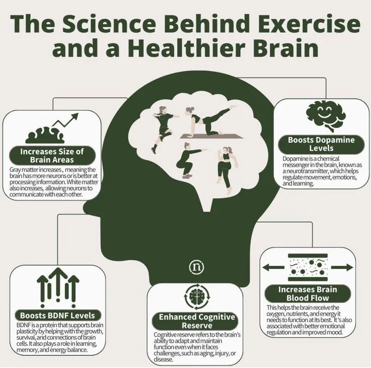 Why Exercise Is Beneficial for Brain Health