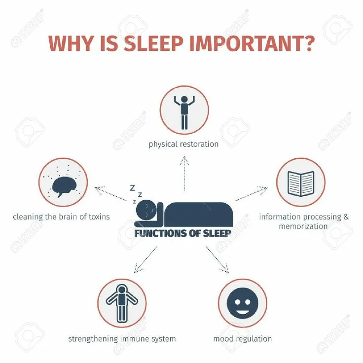 Why Sleep Is Critical: The Science Behind Sleep Needs