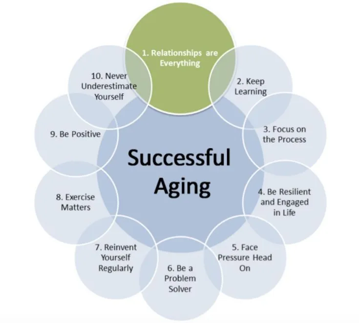 Understanding the Key Hallmarks of Aging