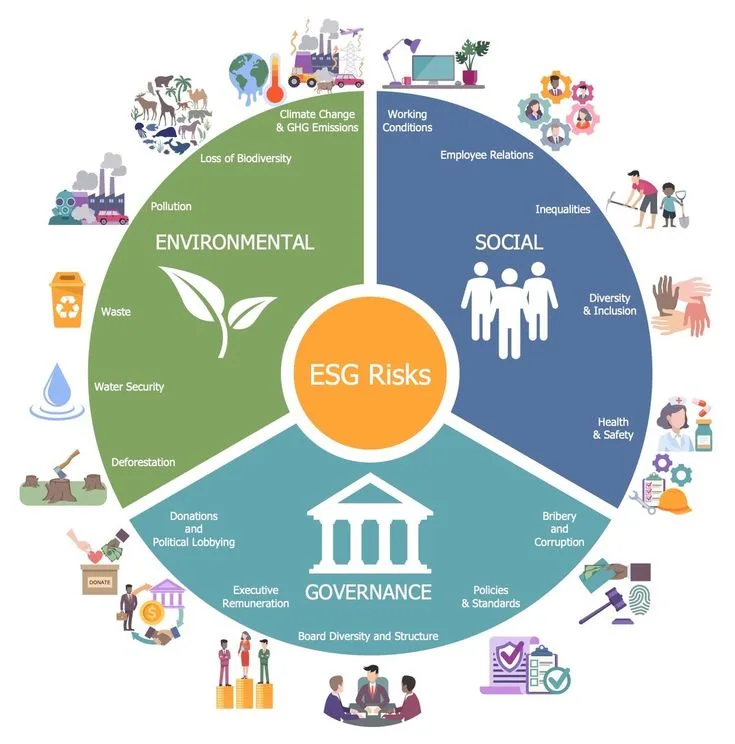 Translating Behavioral Economics into Real Decisions