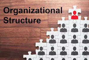 Identifying Organizational Alignment Problems