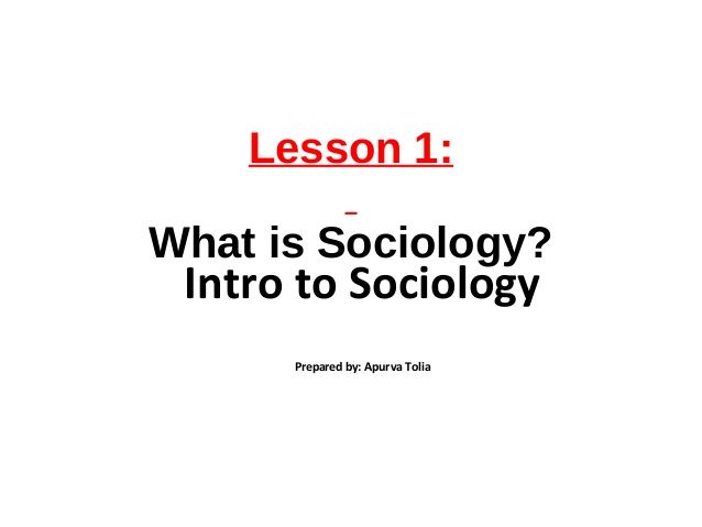 What Is Sociology? The Study of Society and Social Dynamics