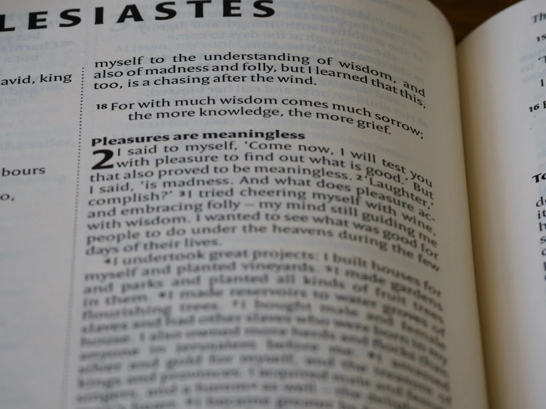 Frequently Confused Cognitive Terms Explained