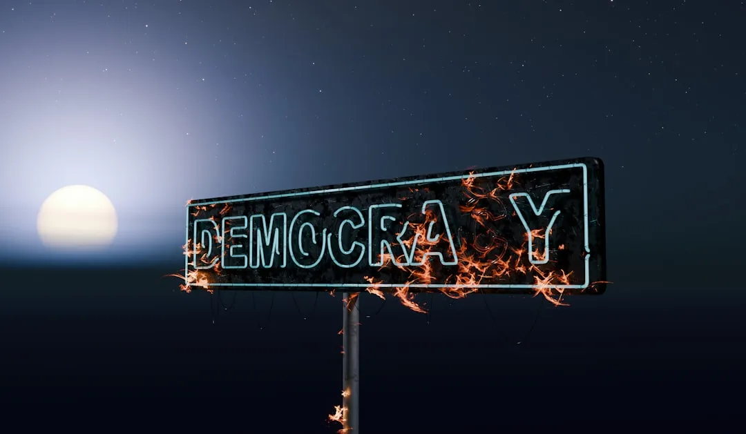 How Democracy Works: Understanding Elections and Governance