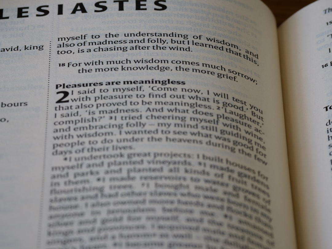 Systems Thinking Vocabulary Explained