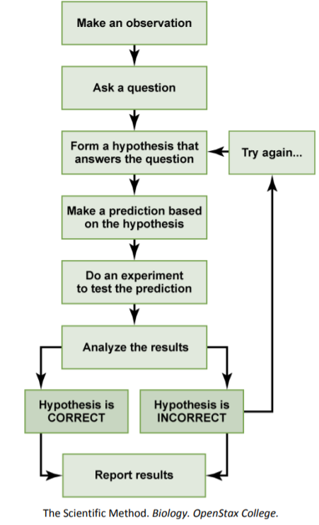 How the Scientific Method Works