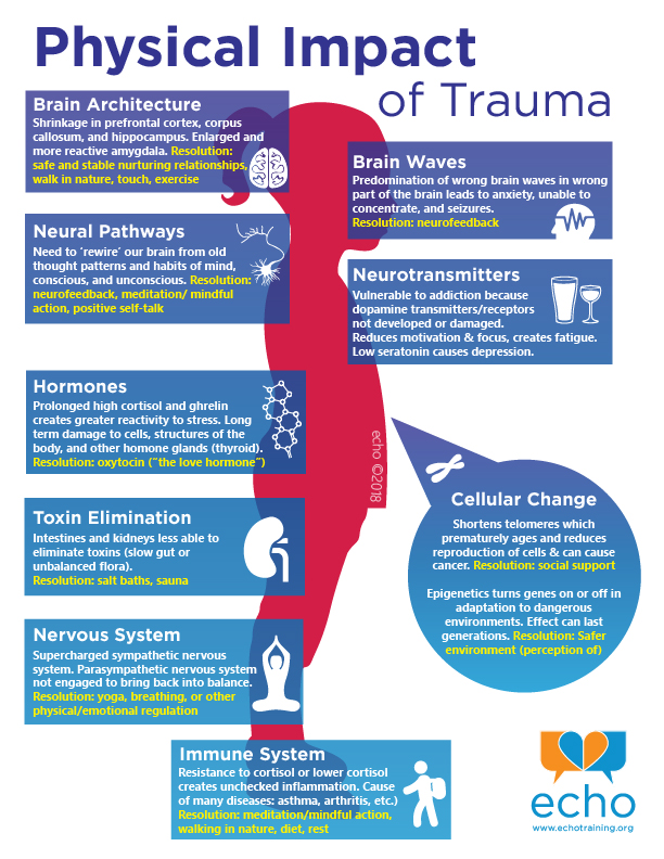 Trauma and Its Physical Effects on the Body
