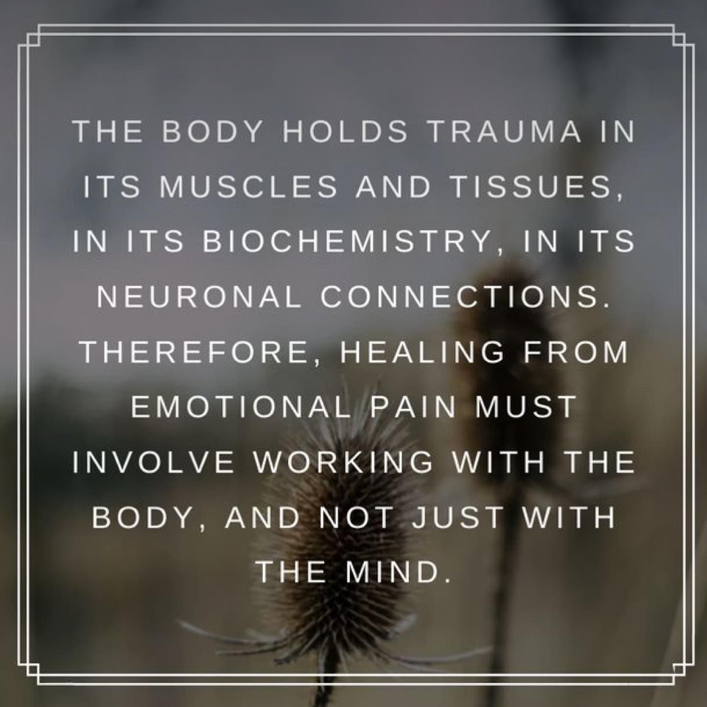 Trauma and Its Physical Effects on the Body