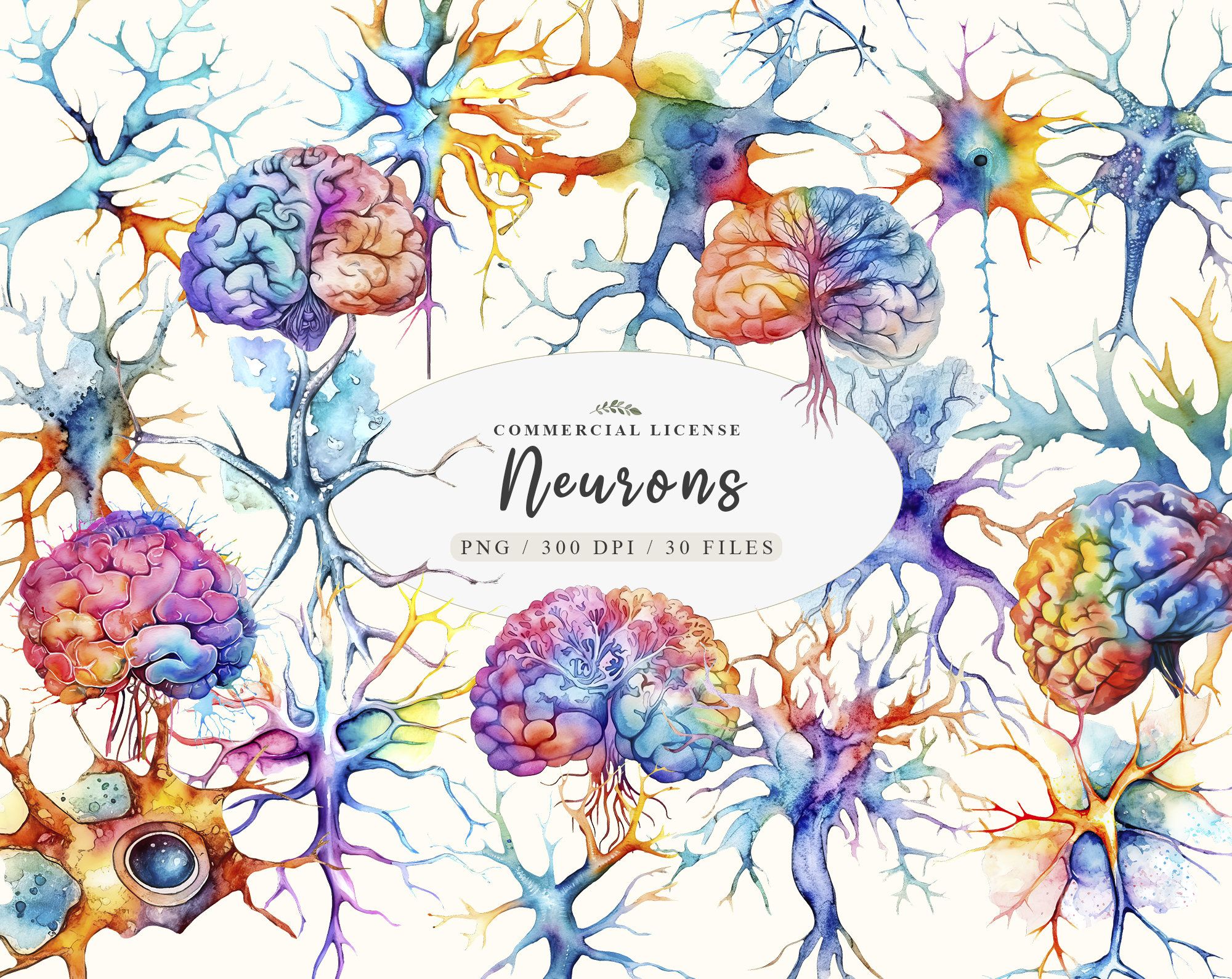 Understanding Habits Through Neuroscience