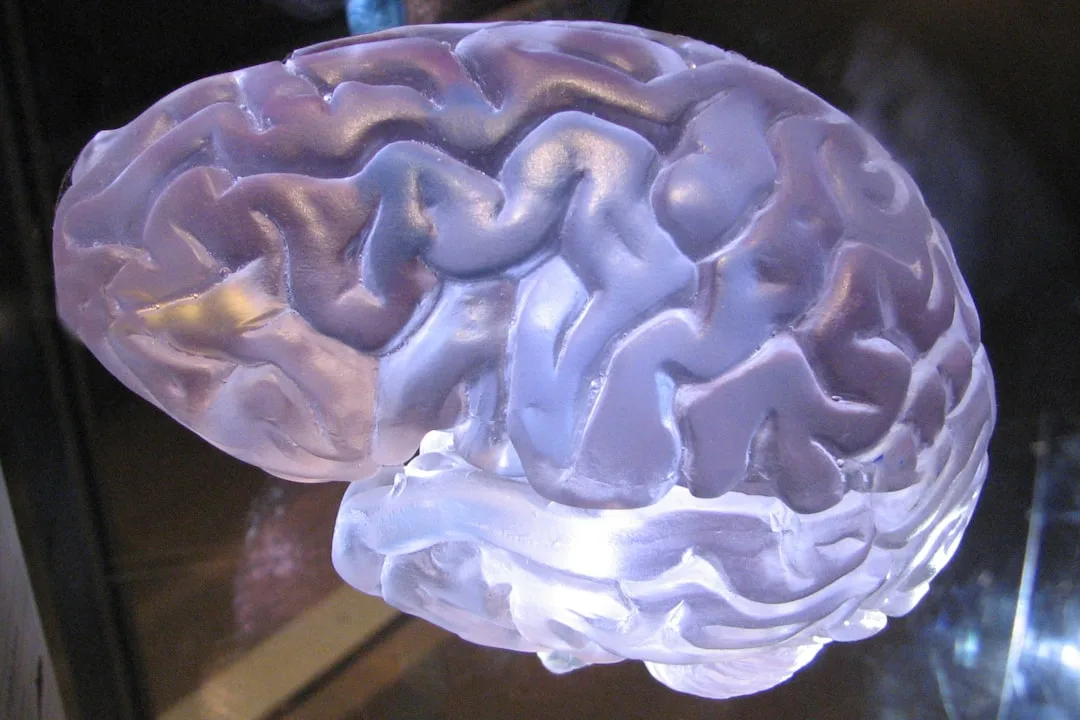 How Experts Build Mental Representations