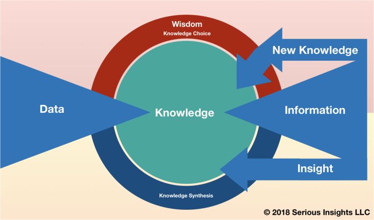Knowledge vs Information Explained