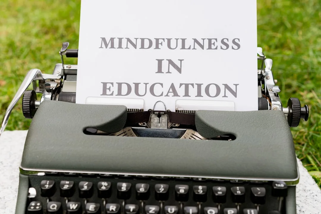 Cognitive Principles That Shape Decisions