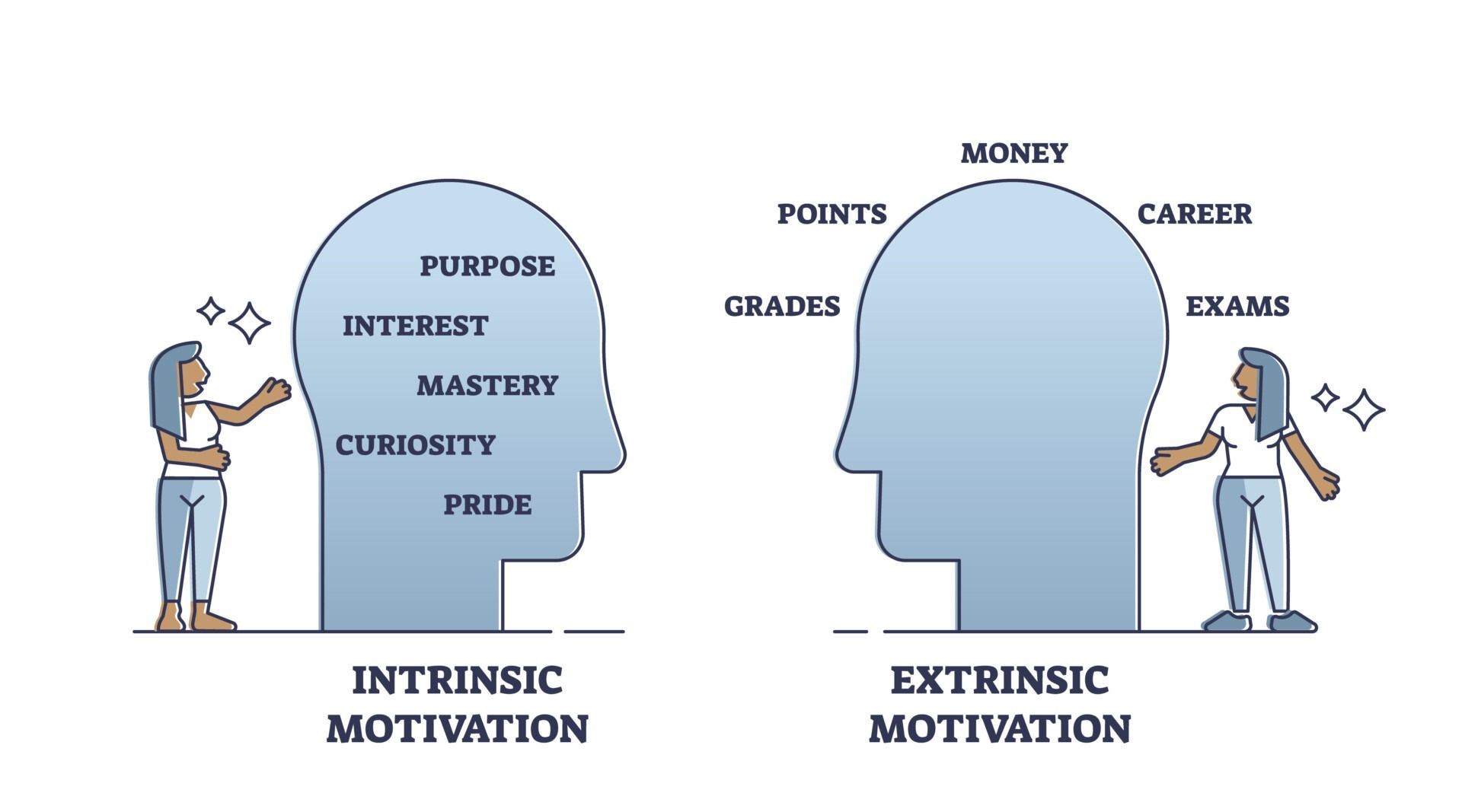 Intrinsic vs Extrinsic Motivation: Key Insights