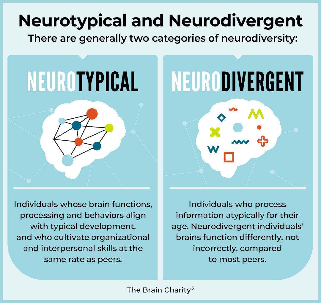 What Is Neurodiversity? Understanding Brain Variations