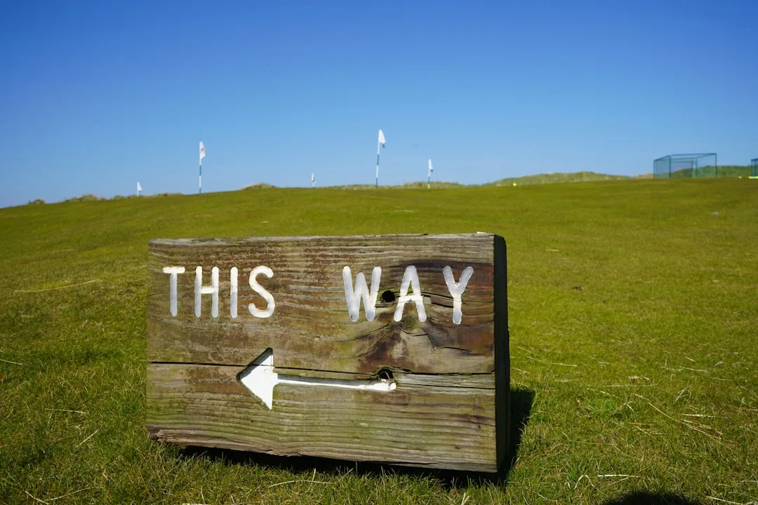 ESG Investing: Key Principles and Performance Insights