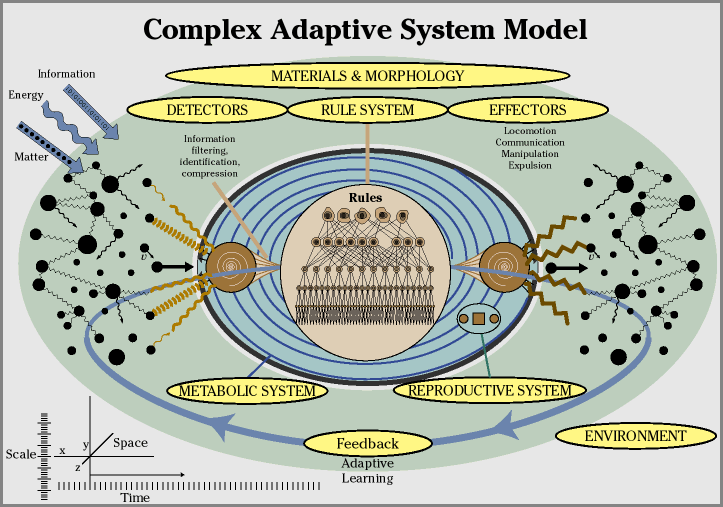 Why Complex Systems Behave Unexpectedly