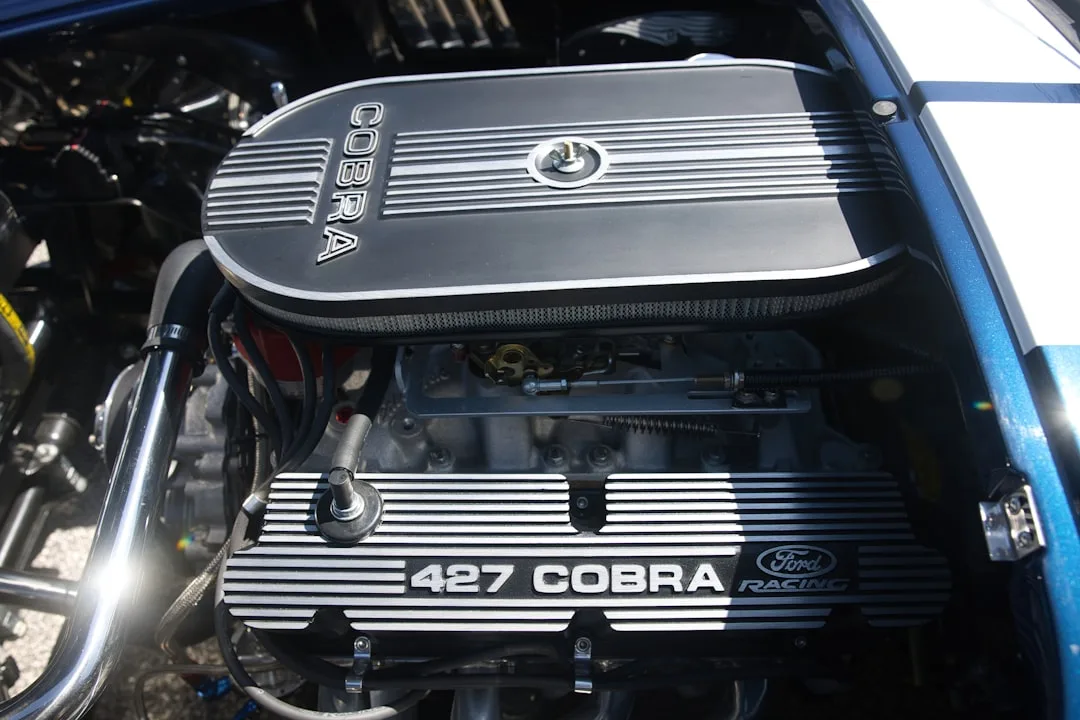 The Cobra Effect: Risks in Gaming Metrics