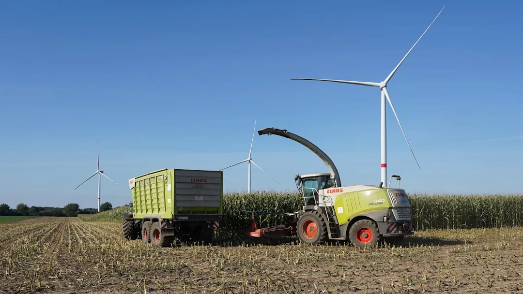 What Is Renewable Energy? Exploring Solar, Wind, and More
