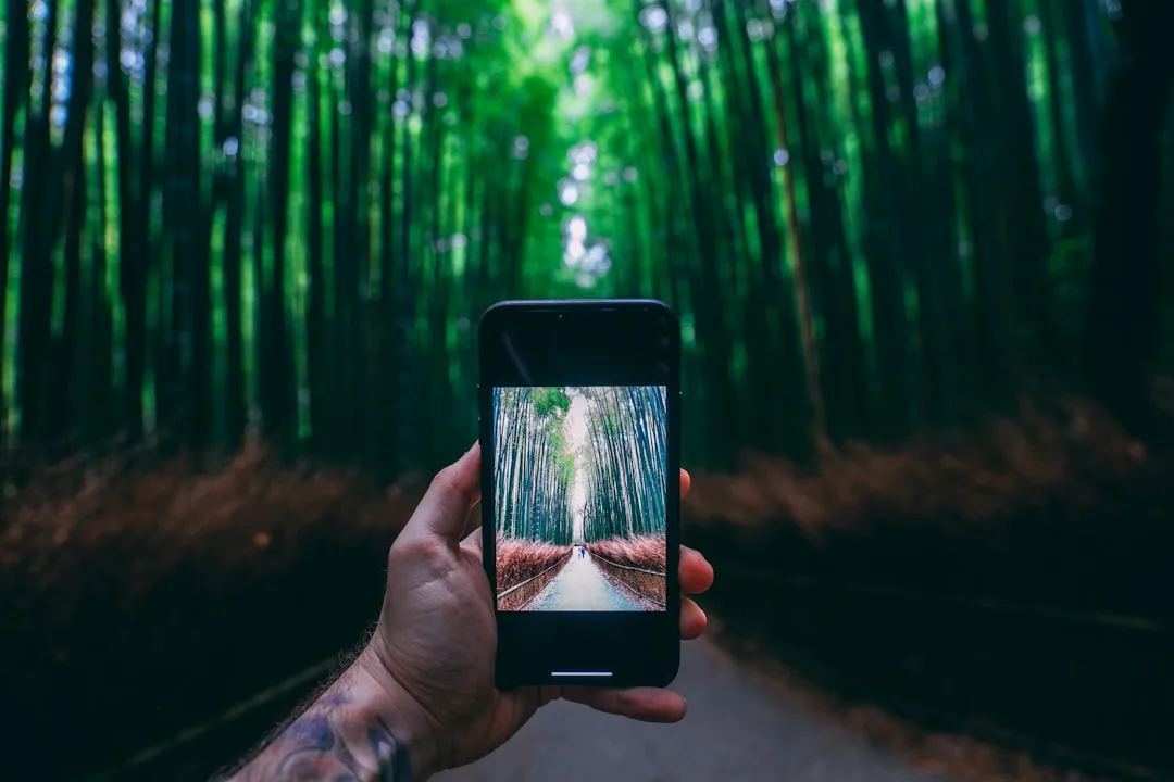 Forest App vs Focus Keeper vs Be Focused: Timer Comparisons