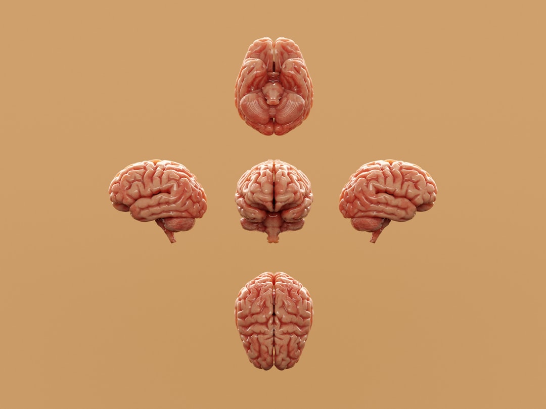 What Is Neuroscience? The Science of the Brain and Nervous System