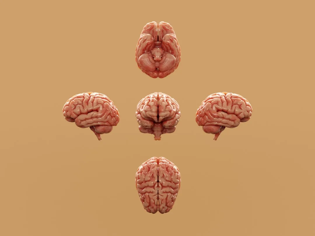 What Is Neuroscience? Exploring the Brain and Its Functions
