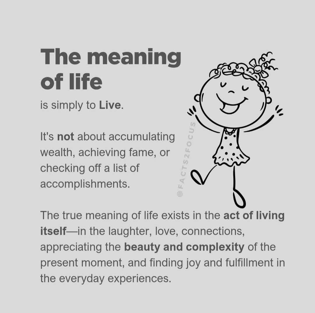 What Is the Meaning of Life? Insights from Various Fields